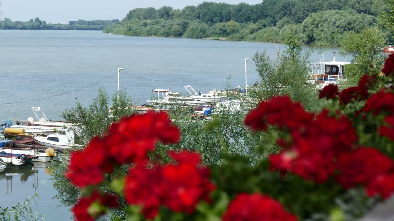 B&B Posejdon Сремска-Митровица Экстерьер фото